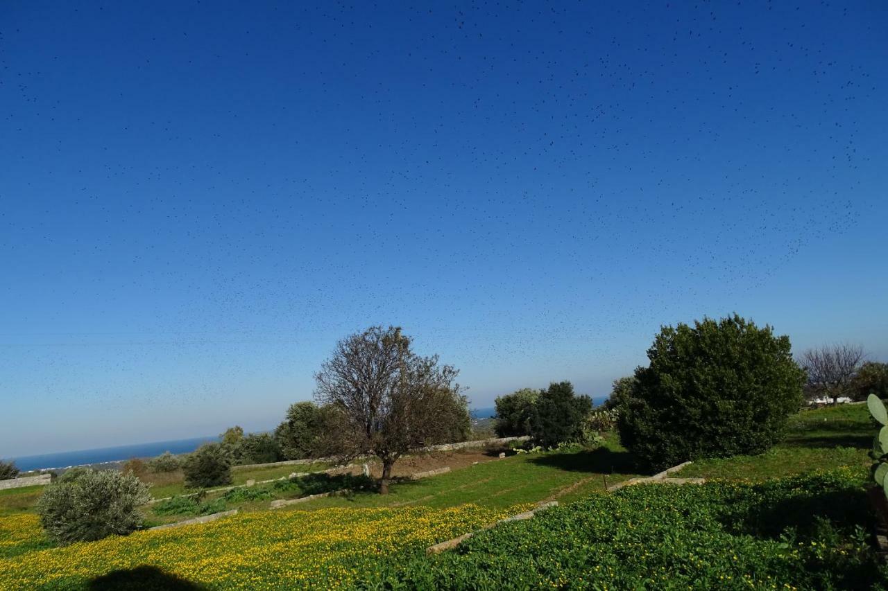 Villa Il Fico D'India Dell'Antico Orto Ostuni Exterior foto