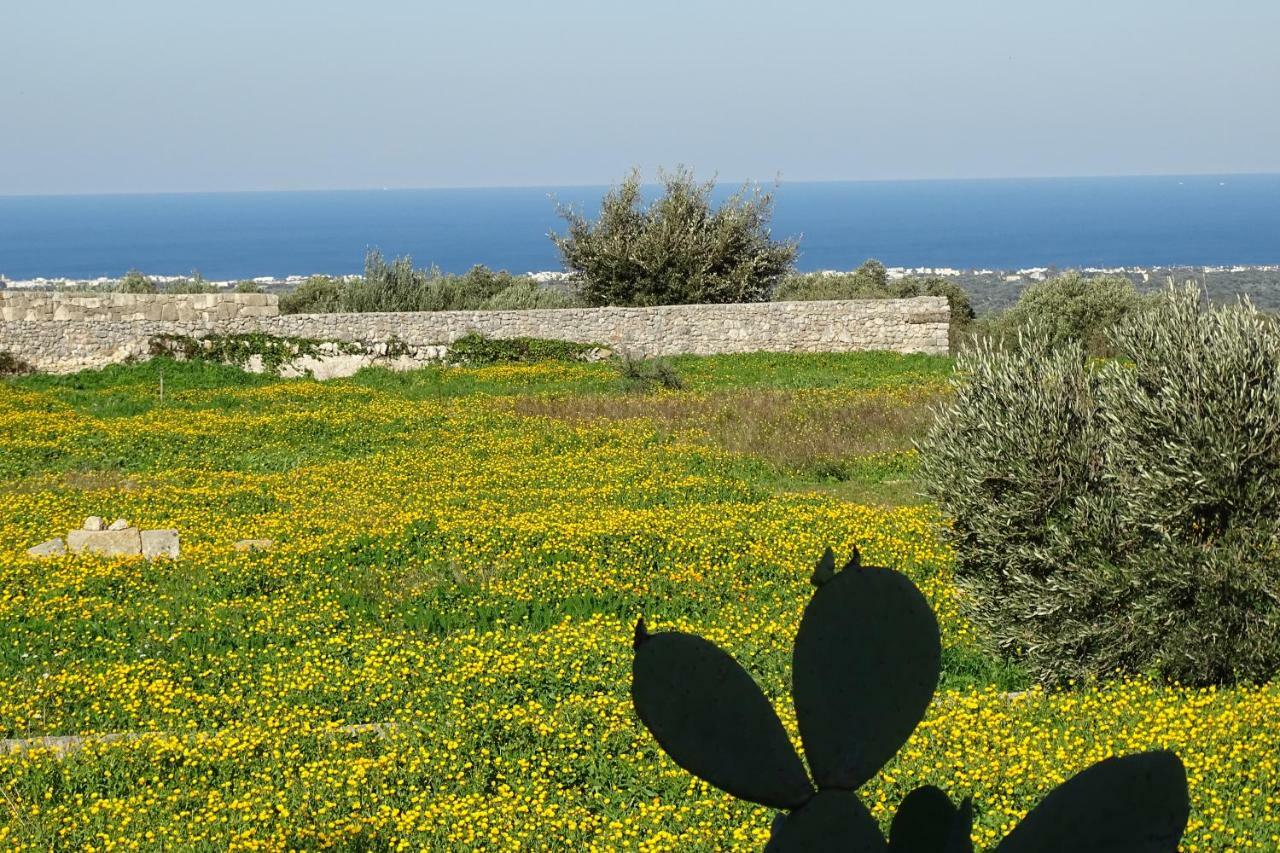 Villa Il Fico D'India Dell'Antico Orto Ostuni Exterior foto