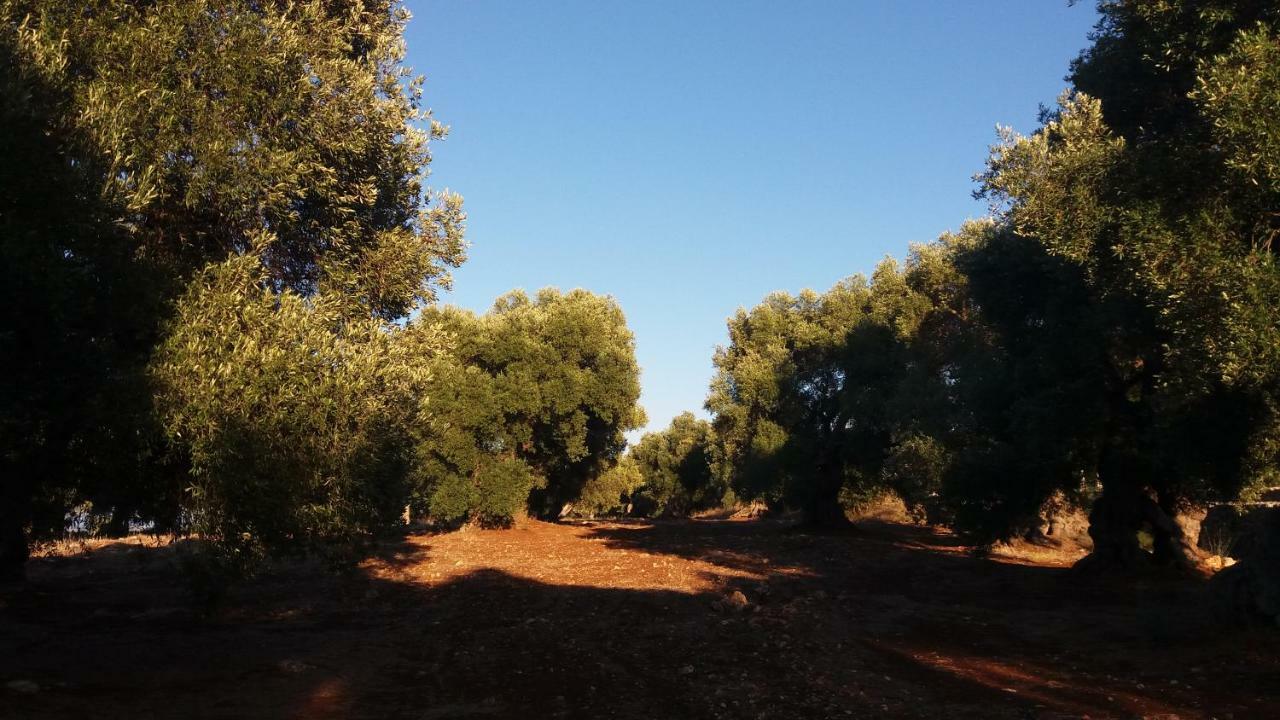 Villa Il Fico D'India Dell'Antico Orto Ostuni Exterior foto